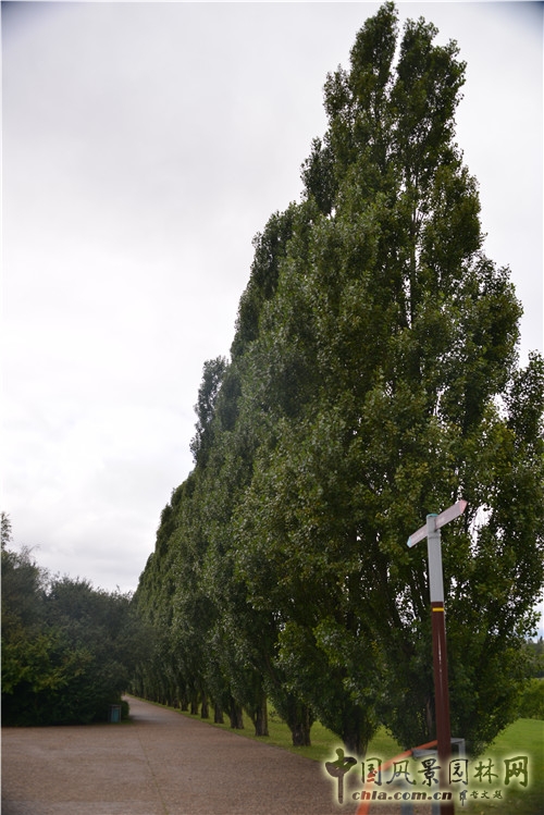 蘇塞公園