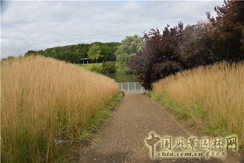 蘇塞公園