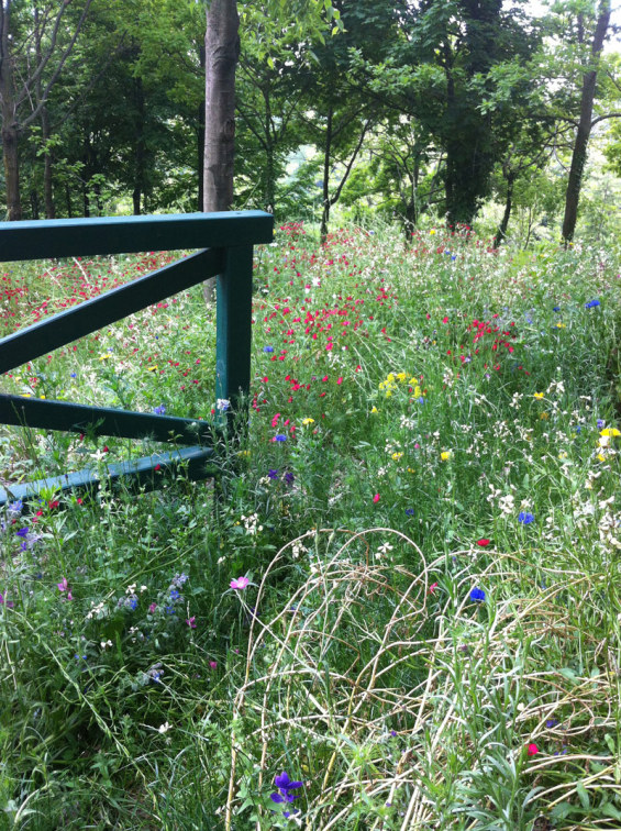 梅拉諾公園