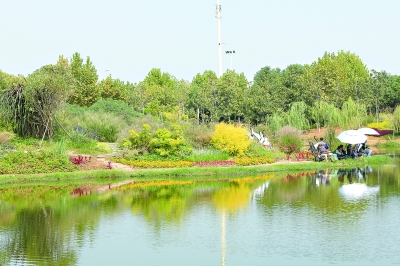 黃家湖公園河畔上，1500平方米水生植物組成武漢首個(gè)“水上花境”