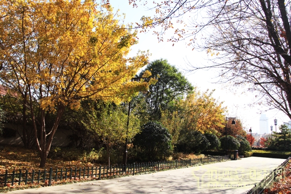 大明湖風景名勝區