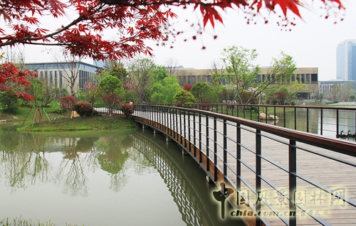 華為杭州生產(chǎn)基地 景觀工程 屋頂綠化