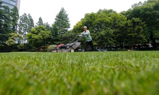 上海綠道 綠地公園 市容管理 綠道規(guī)劃