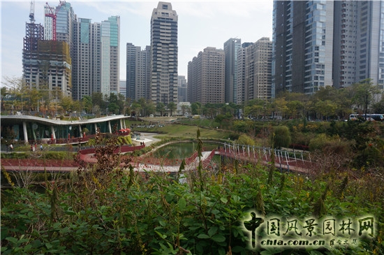 秋紅谷生態(tài)公園