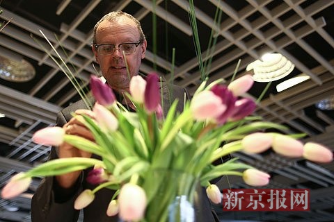 國泰”郁金香下周將在北京植物園展出