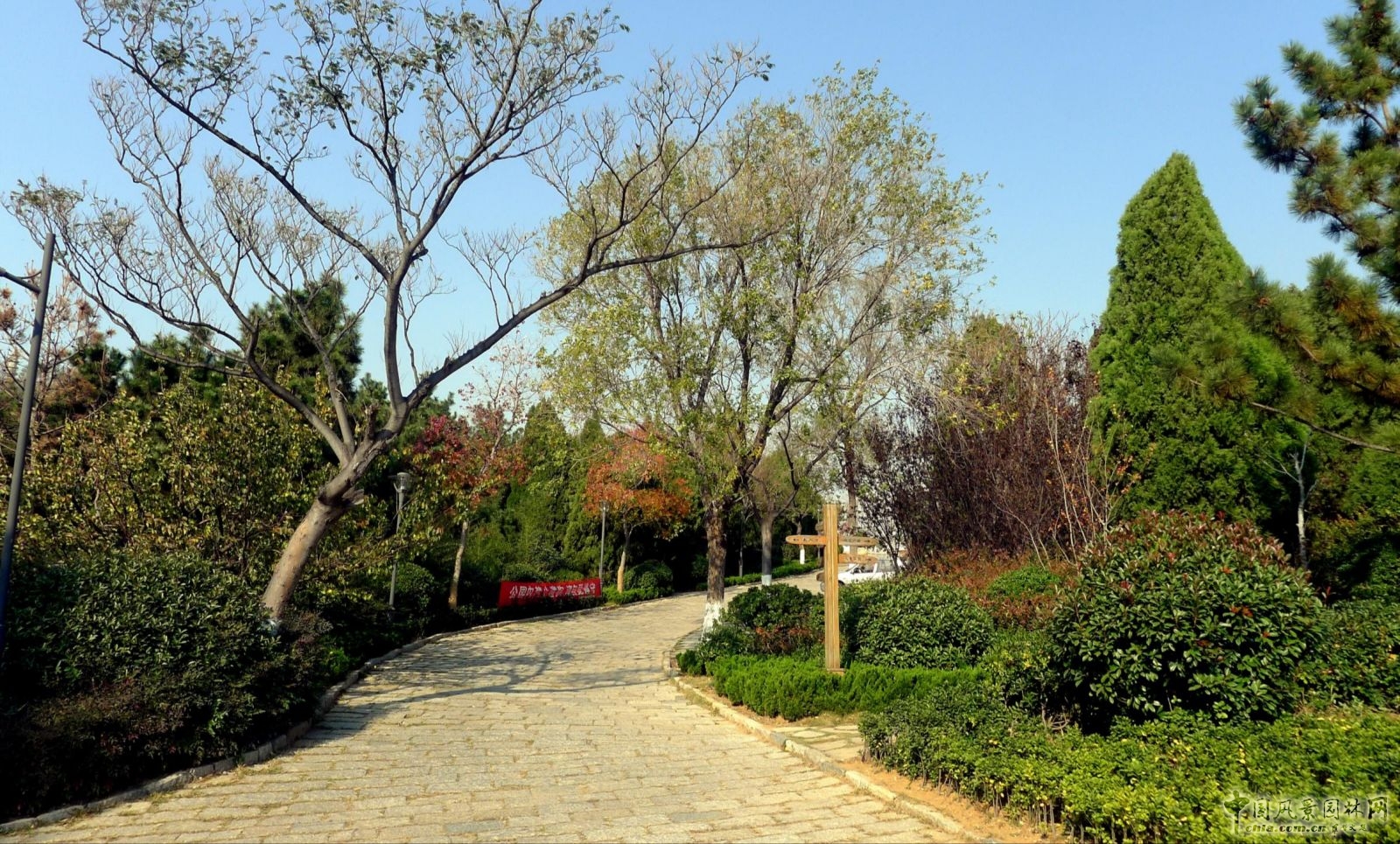 生態性園路與鋪裝的應用——主園路（嵌草鋪裝)