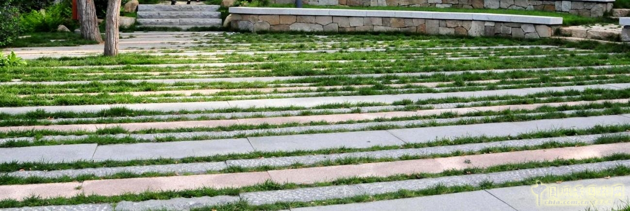 生態(tài)性園路與鋪裝的應(yīng)用——嵌草鋪裝