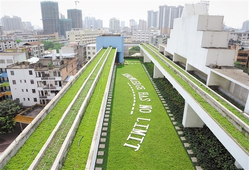 華強路小學教學樓頂上的空中綠地。
