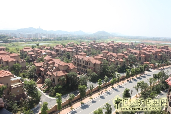 2015住宅景觀獎(jiǎng)：洞庭湖國(guó)際公館一期別墅景觀綠化