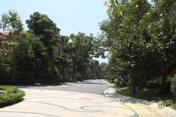 2015住宅景觀獎：洞庭湖國際公館一期別墅景觀綠化
