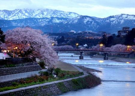 日本新干線沿途的美麗花海（組圖）