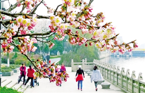 住建部:生態園林城市是園林城市升級版