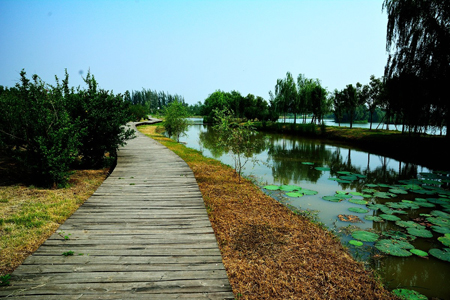 西安：浐灞生態國家濕地公園