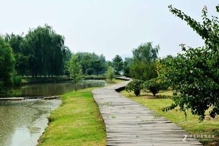 西安：浐灞生態國家濕地公園