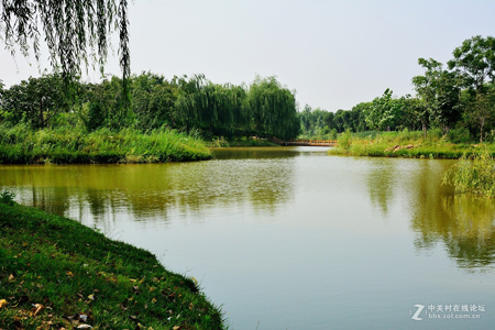 西安：浐灞生態國家濕地公園