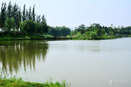西安：浐灞生態國家濕地公園