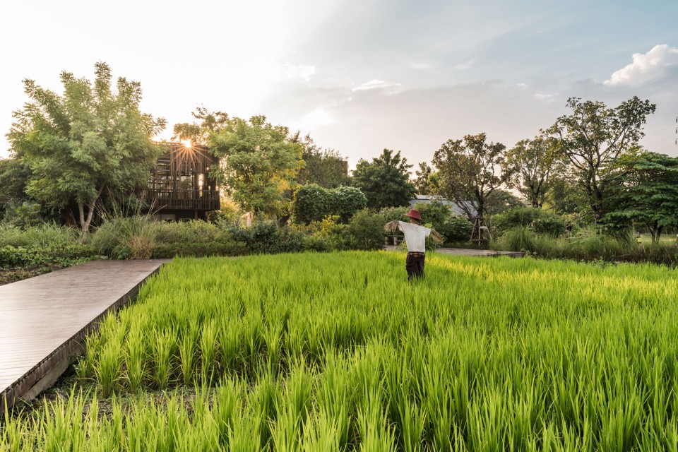 泰國(guó)：高速路旁的鄉(xiāng)土風(fēng)格開(kāi)放型城市公園