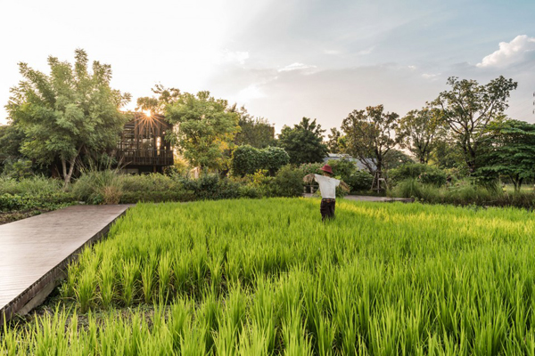 泰國：Ming Mongkol綠色公園