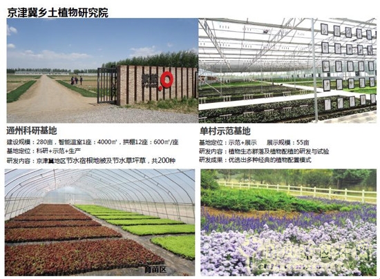 郭建梅：節水園林——蒙草遇上節水的時代
