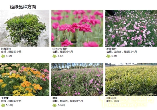 郭建梅：節水園林——蒙草遇上節水的時代