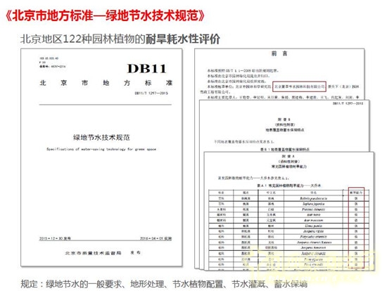 郭建梅：節(jié)水園林——蒙草遇上節(jié)水的時代