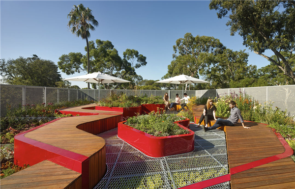HASSELL：澳大利亞伯恩利公共屋頂花園
