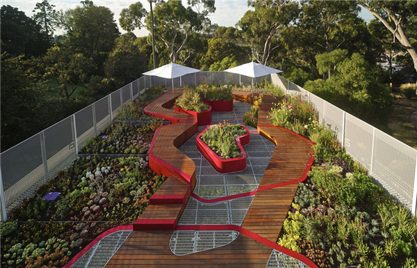 HASSELL：澳大利亞伯恩利公共屋頂花園