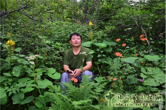 James Hitehmough：發展可持續城市的植物群落