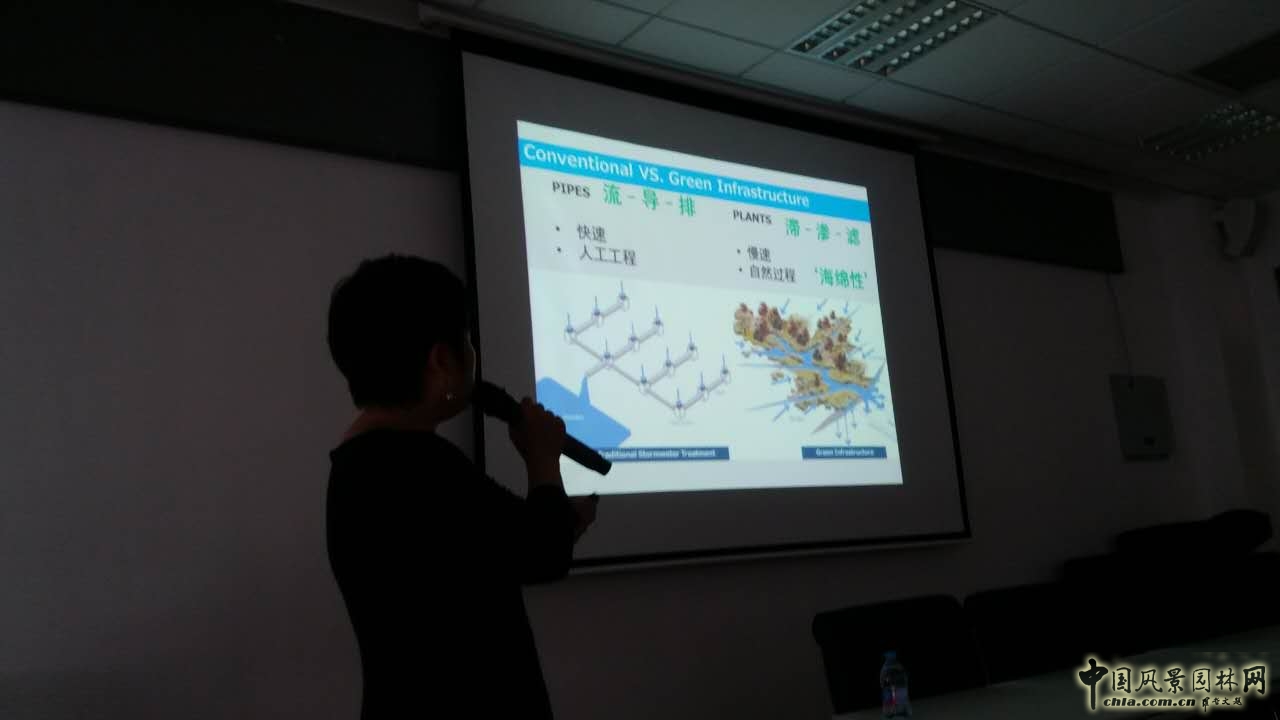 羅青：經典美國城市環境中的雨水管理設計