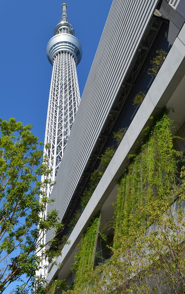 案例賞析：東京晴空塔小鎮