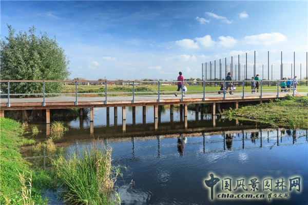 圣尼古拉市CLEMENTWIJK住區景觀設計