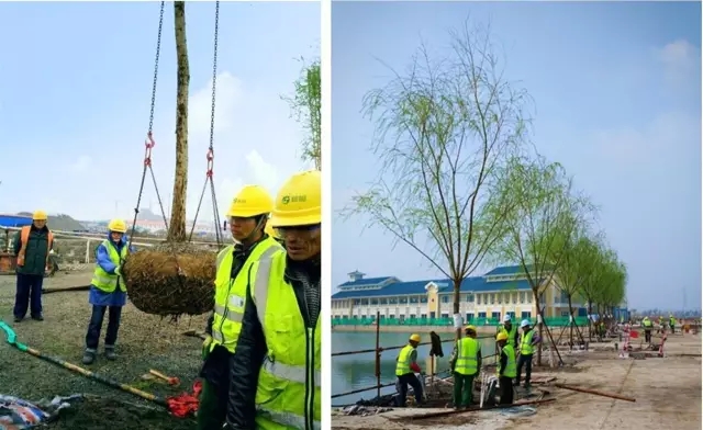 上海迪士尼是如何建造的？10大秘訣值得工程人學習！
