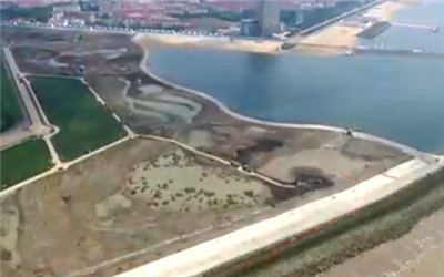 上海首個(gè)濱海濕地公園“鸚鵡洲”濕地公園開工建設(shè)