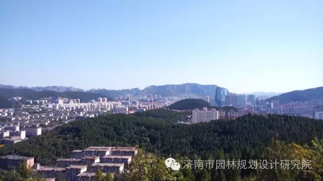 濟南市園林規劃設計研究院獲獎作品賞析