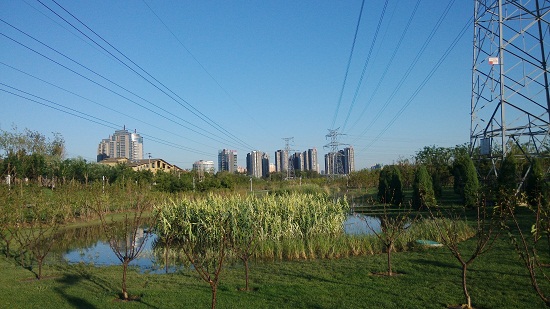 北京望和公園規劃設計分析