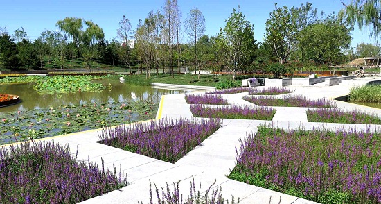 北京望和公園規劃設計分析