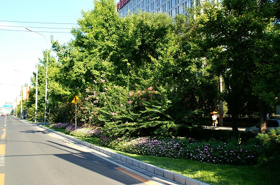 北京市重點城市道路規劃設計