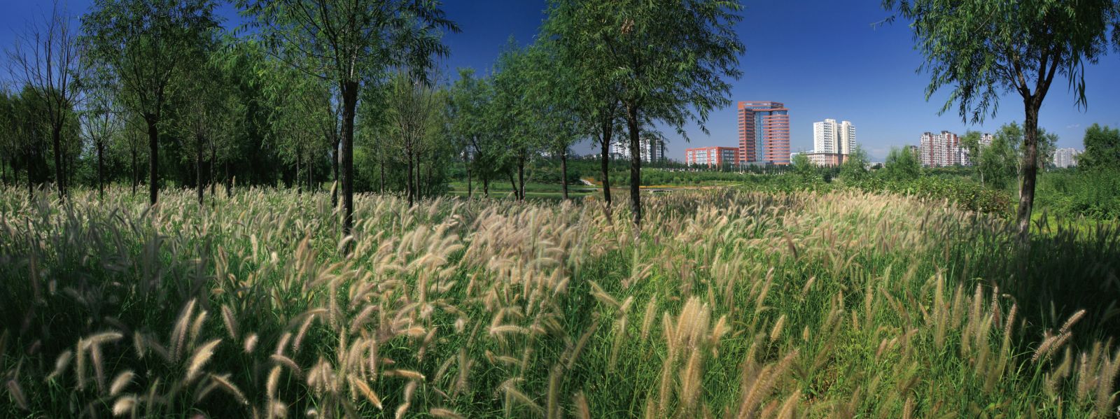 北京昌平新城萬畝濱河森林公園規(guī)劃設(shè)計(jì)