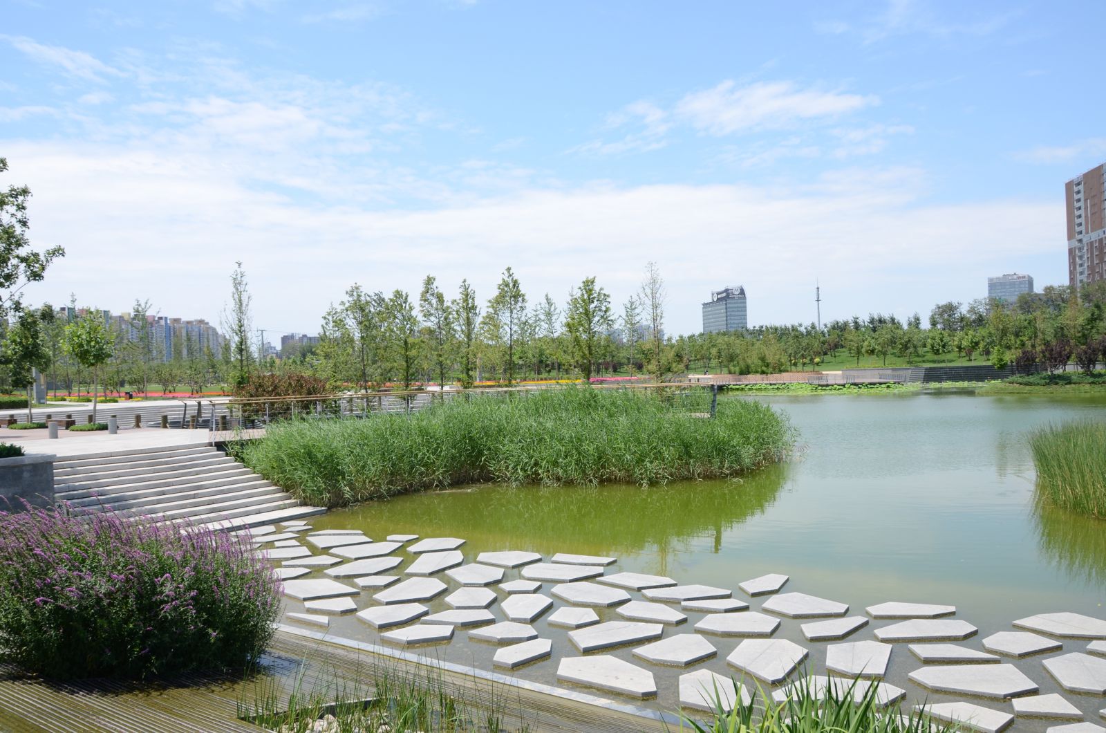 北京大望京公園規劃設計賞析