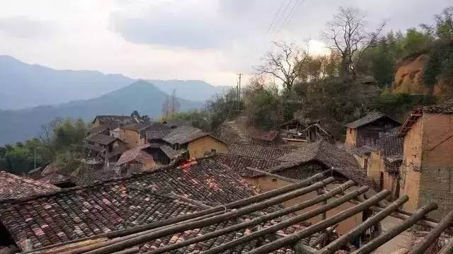 民宿設(shè)計(jì)：霸王嶺雨林老屋酒店改造項(xiàng)目
