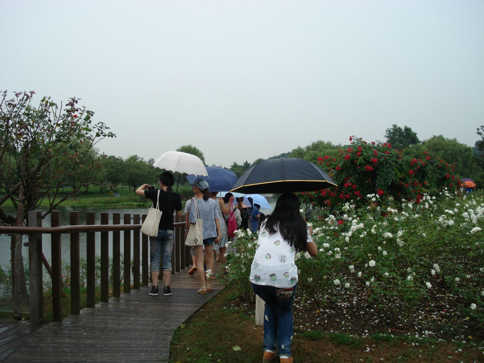 系列報道3：南林風景園林學院走進企業和學校