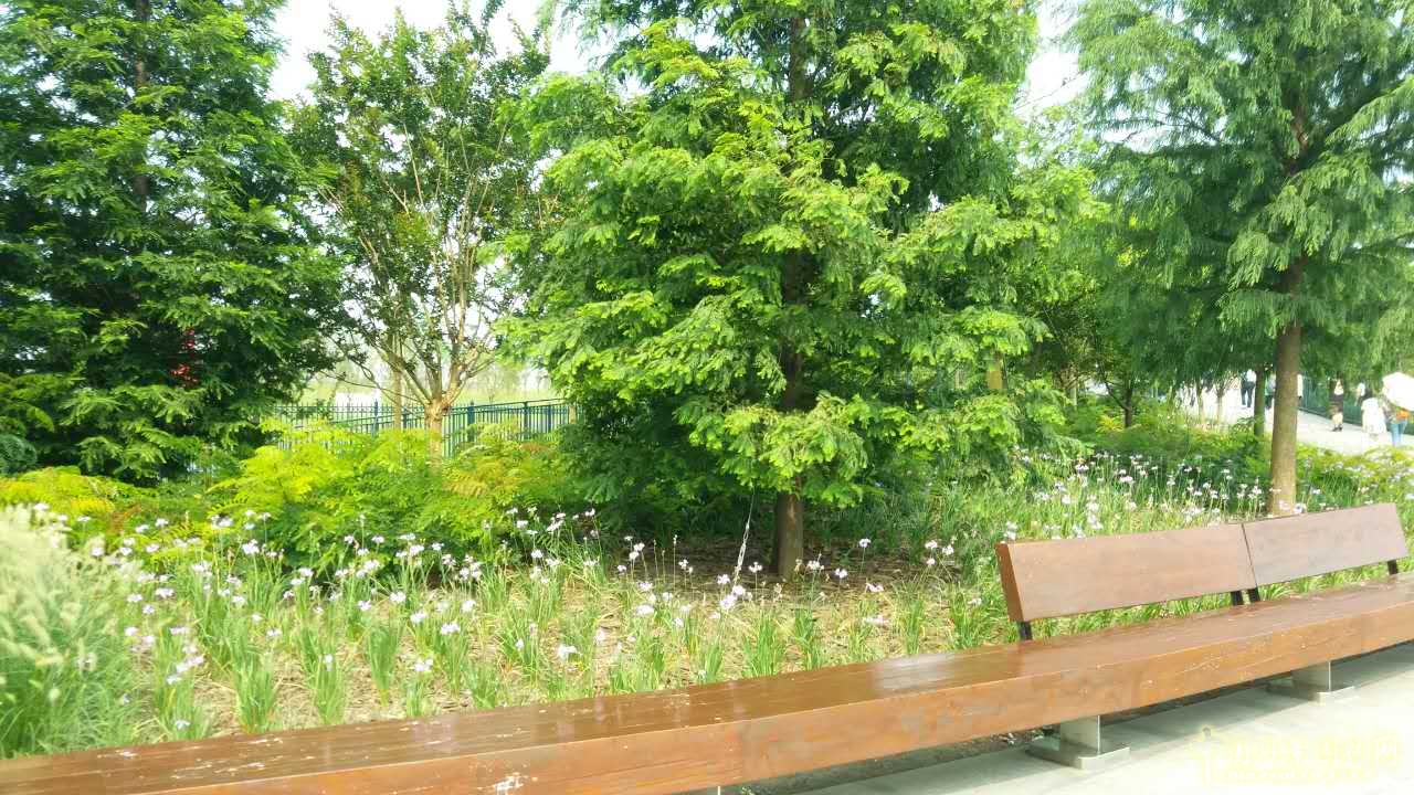系列報道4：南林風景園林學院走進上海園林集團