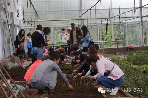 “珍稀瀕危植物資源收集圃”在麗江高山植物園揭牌