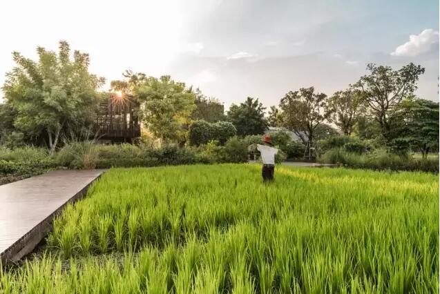 泰國公園：場地修復+產(chǎn)業(yè)整合的綠色夢想