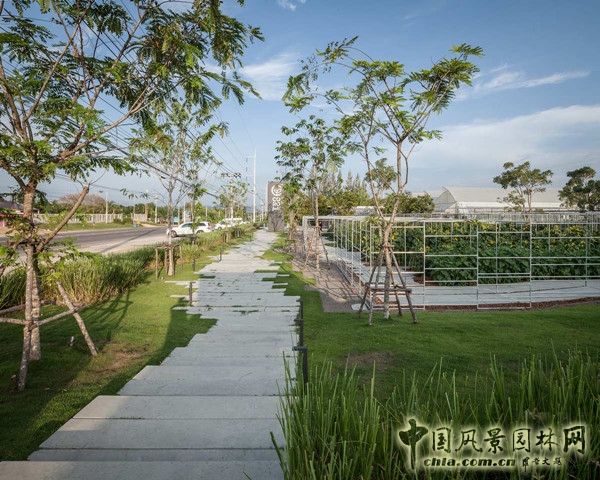 泰國Coro項(xiàng)目一期工程賞析