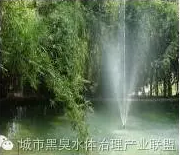 有圖有真相 水環境生態修復技術方案