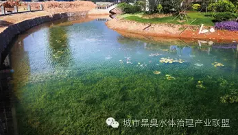 有圖有真相 水環境生態修復技術方案