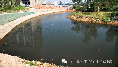 有圖有真相 水環境生態修復技術方案
