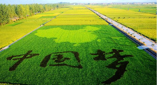 休閑農(nóng)業(yè)景觀設(shè)計(jì)之“大地藝術(shù)”
