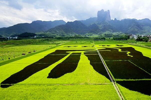 休閑農(nóng)業(yè)景觀設(shè)計(jì)之“大地藝術(shù)”